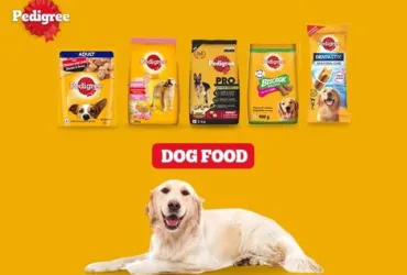 pedigree free sample